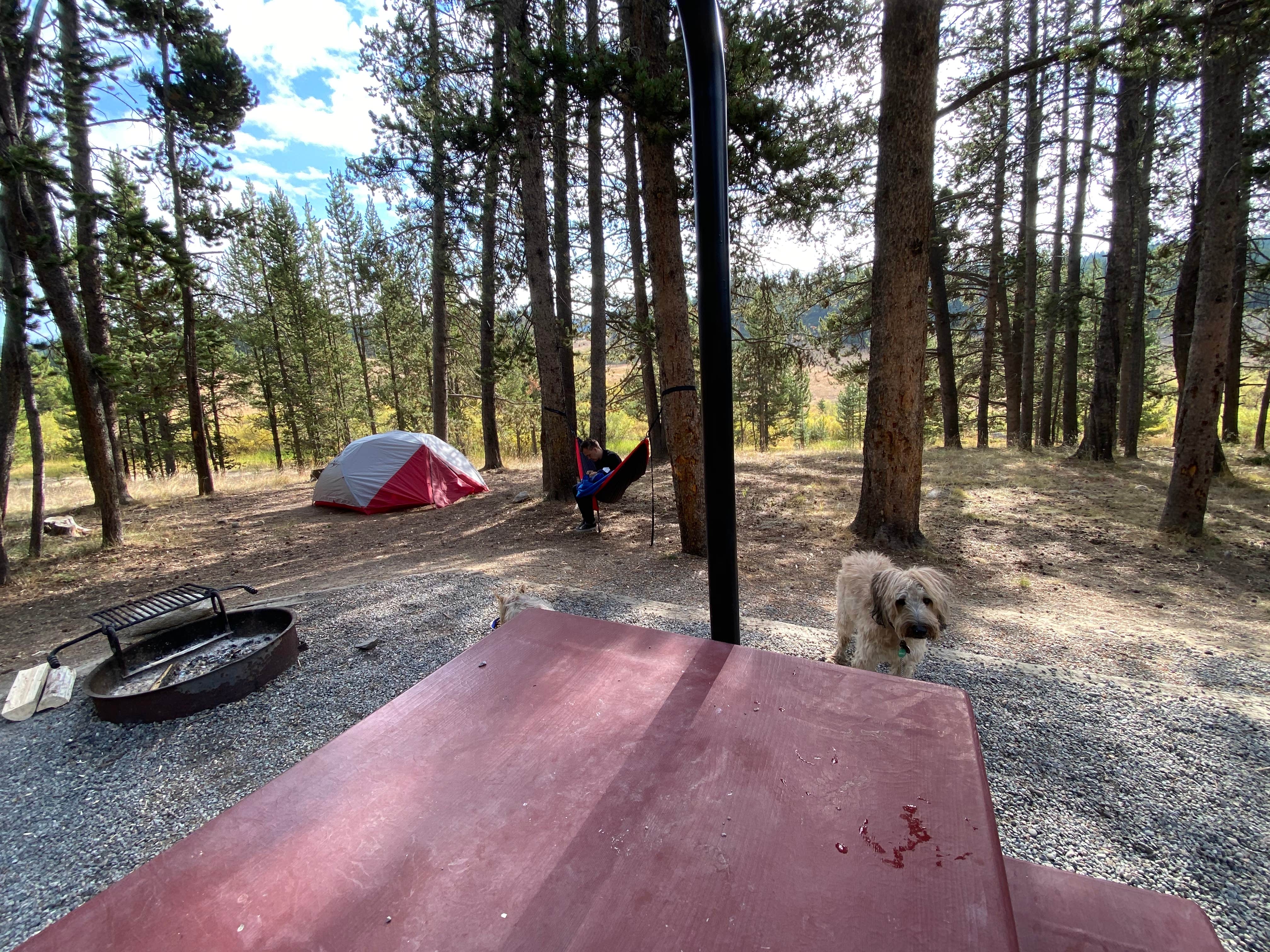 Camper submitted image from Sitting Bull Campground - 2