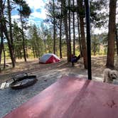 Review photo of Sitting Bull Campground by Margarita Z., September 7, 2020