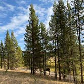 Review photo of Sitting Bull Campground by Margarita Z., September 7, 2020