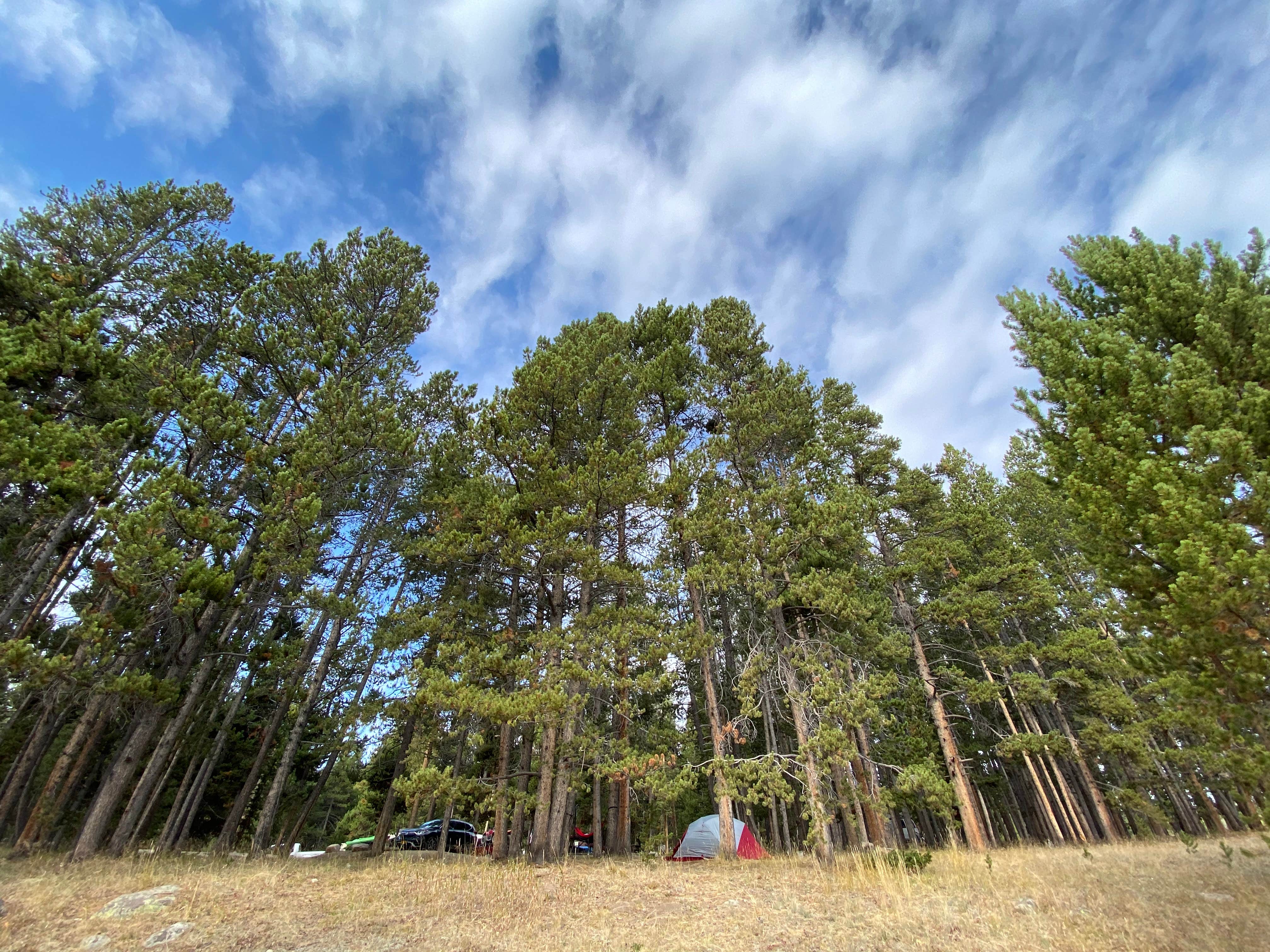Camper-submitted photo at Sitting Bull Campground near Hyattville, WY