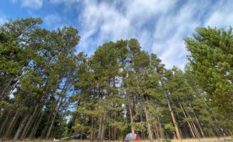 Margarita Z.'s photo at Sitting Bull Campground near Ten Sleep, WY