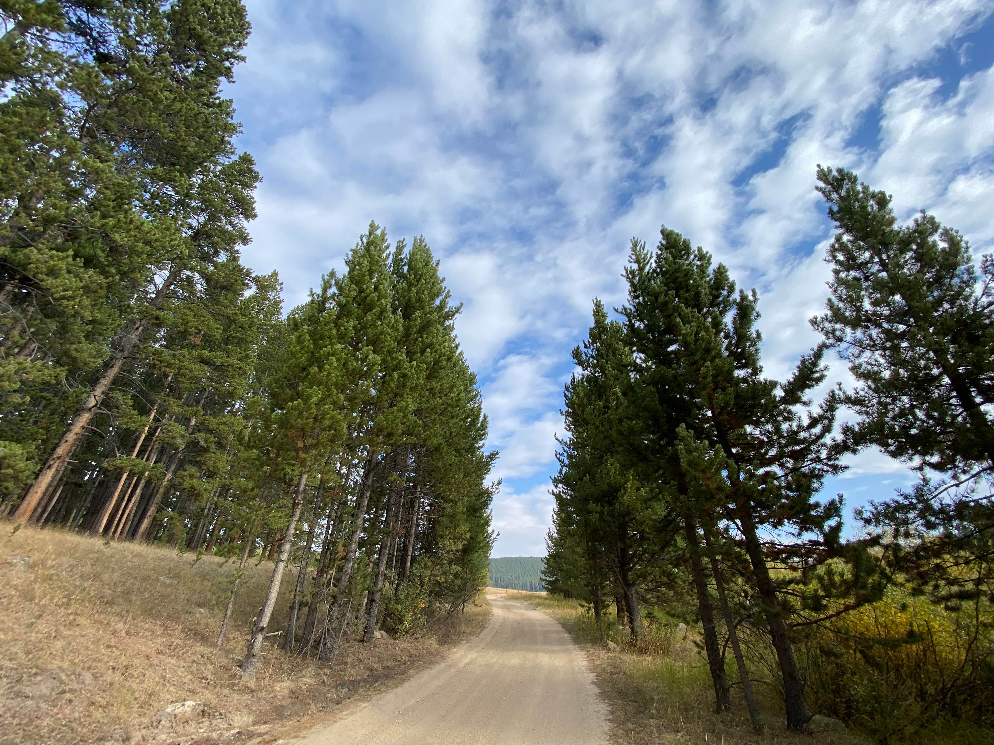 Camper-submitted photo at Sitting Bull Campground near Hyattville, WY