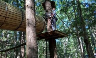 Lowiejean's photo of a cabin at Wild Acres Sun RV Resort in Maine