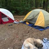 Review photo of Catskill/Kenneth L Wilson Campground by Margarita Z., September 7, 2020