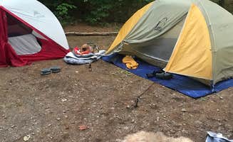 Margarita Z.'s photo of camping with pets at Catskill/Kenneth L Wilson Campground near Palenville, NY