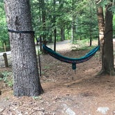 Review photo of Catskill/Kenneth L Wilson Campground by Margarita Z., September 7, 2020