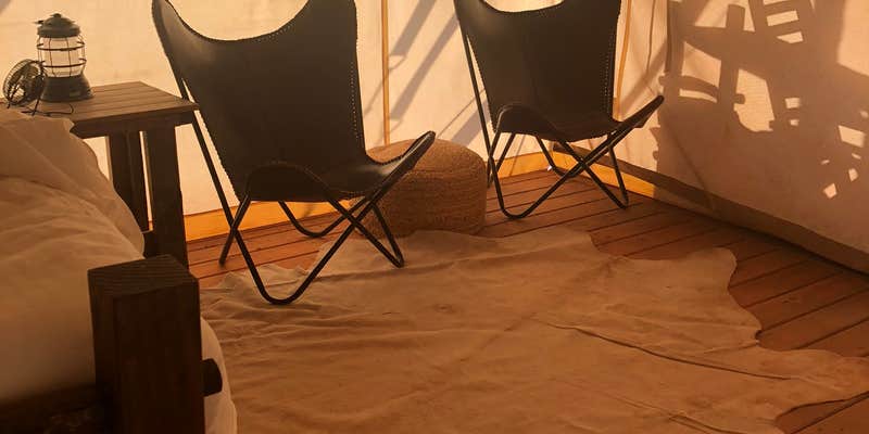 Camper submitted image from Zion Under Canvas