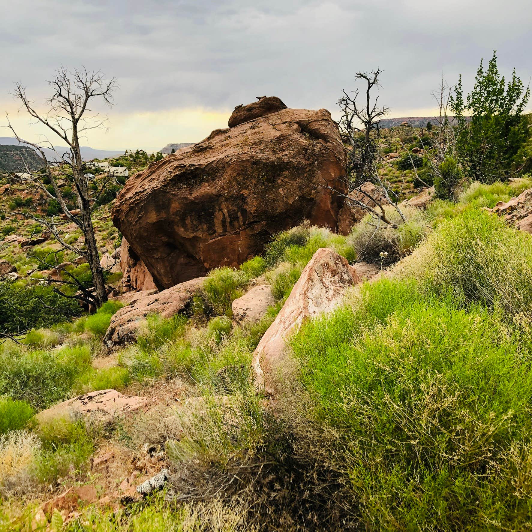 Camper-submitted photo at Zion Under Canvas near Kanarraville, UT