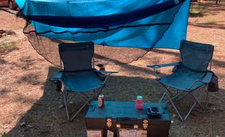 Jay B.'s photo at Aiken State Park Campground near Lexington, SC