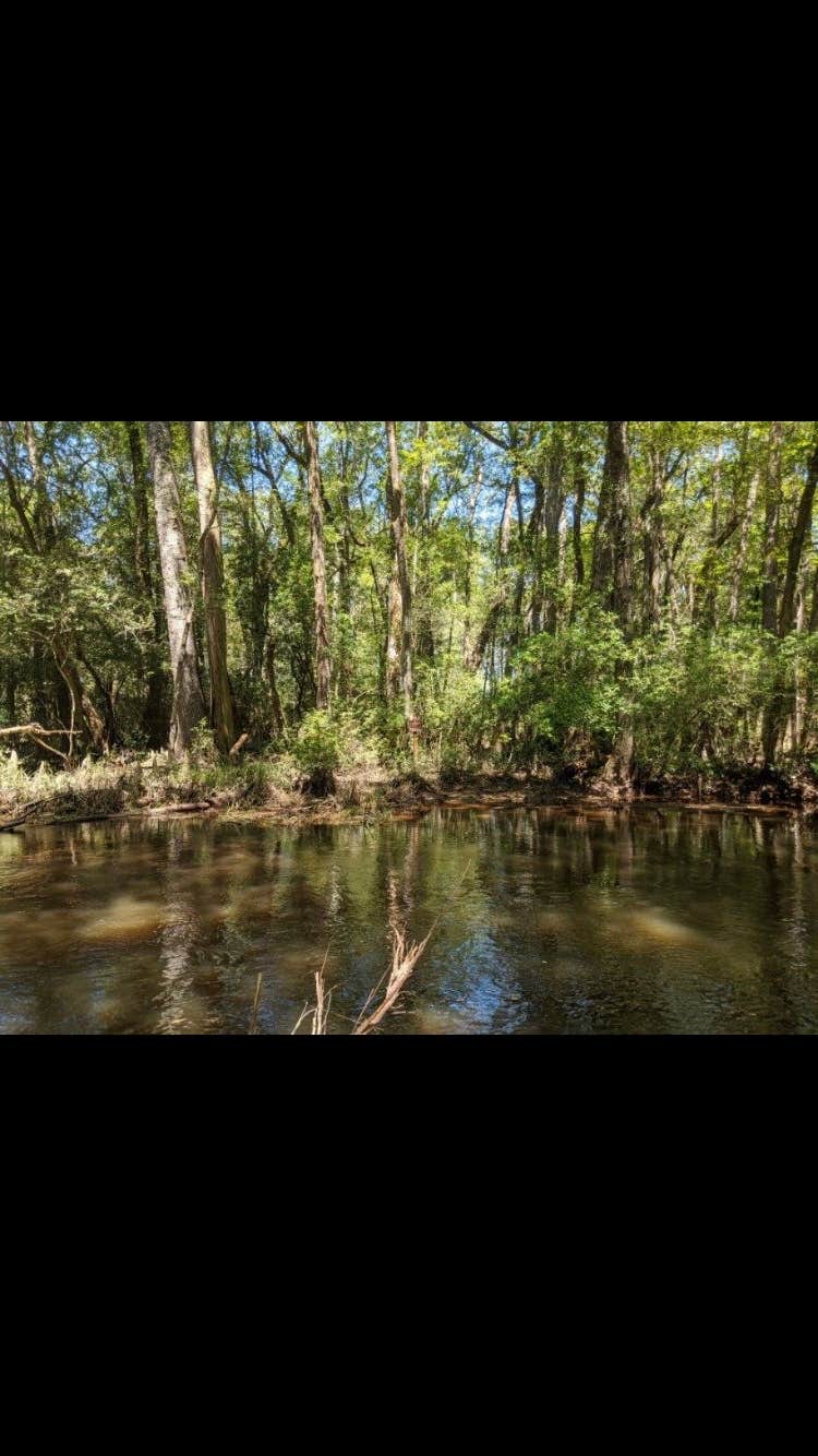 Camper-submitted photo at Aiken State Park Campground near Allendale, SC