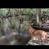 Review photo of Aiken State Park Campground by Jay B., September 7, 2020