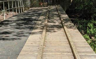 Jay B.'s photo of camping with pets at Aiken State Park Campground near Aiken, SC