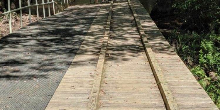 Camper submitted image from Aiken State Park Campground