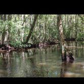 Review photo of Aiken State Park Campground by Jay B., September 7, 2020