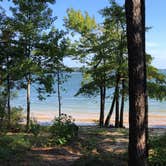 Review photo of Petersburg - J Strom Thurmond Lake by Alex C., September 7, 2020