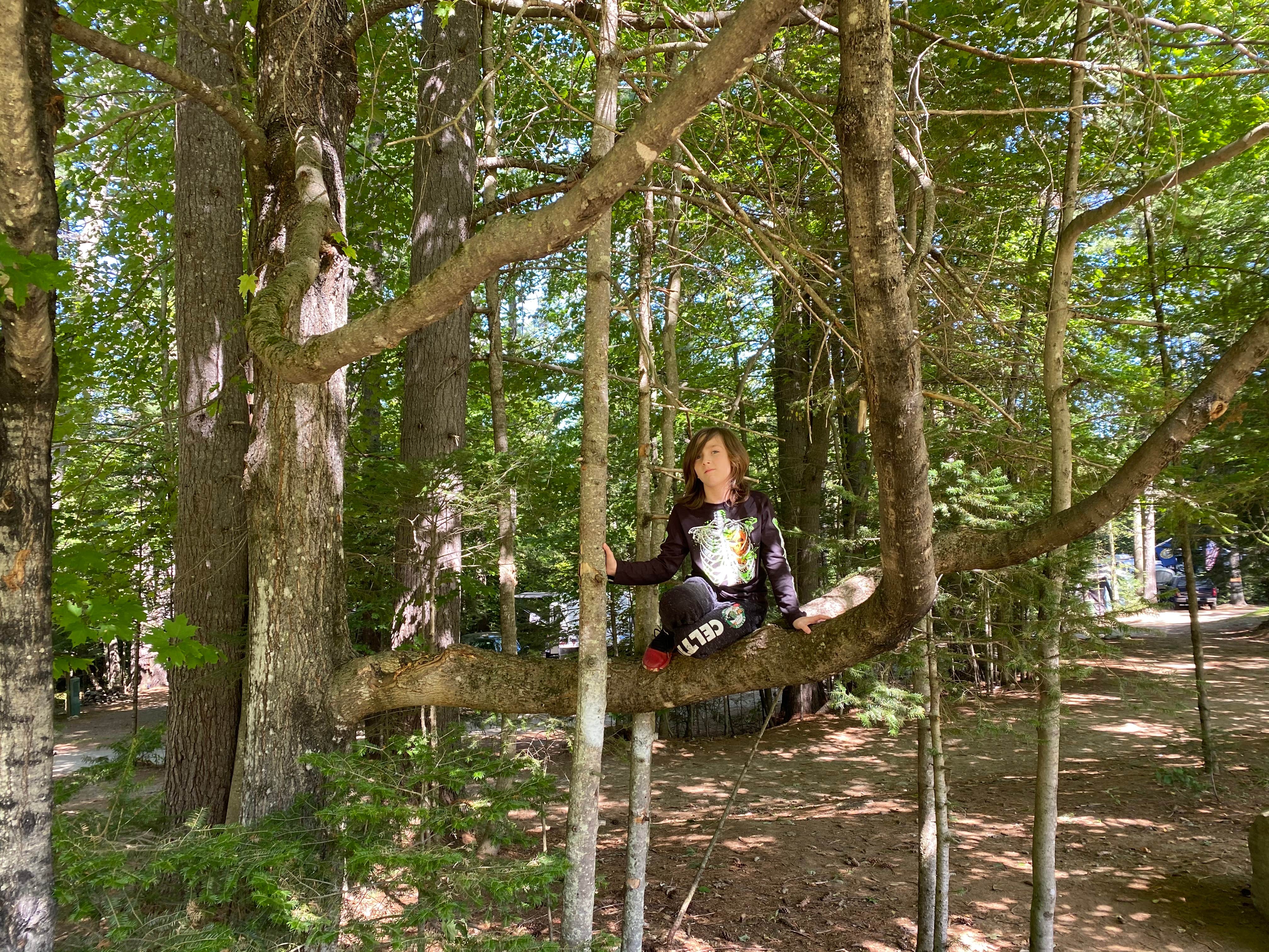 Camper-submitted photo at Crazy Horse Family Campground near Sugar Hill, NH