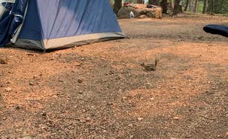 Juanita R.'s photo at Rampart Range Recreation Area near Louviers, CO