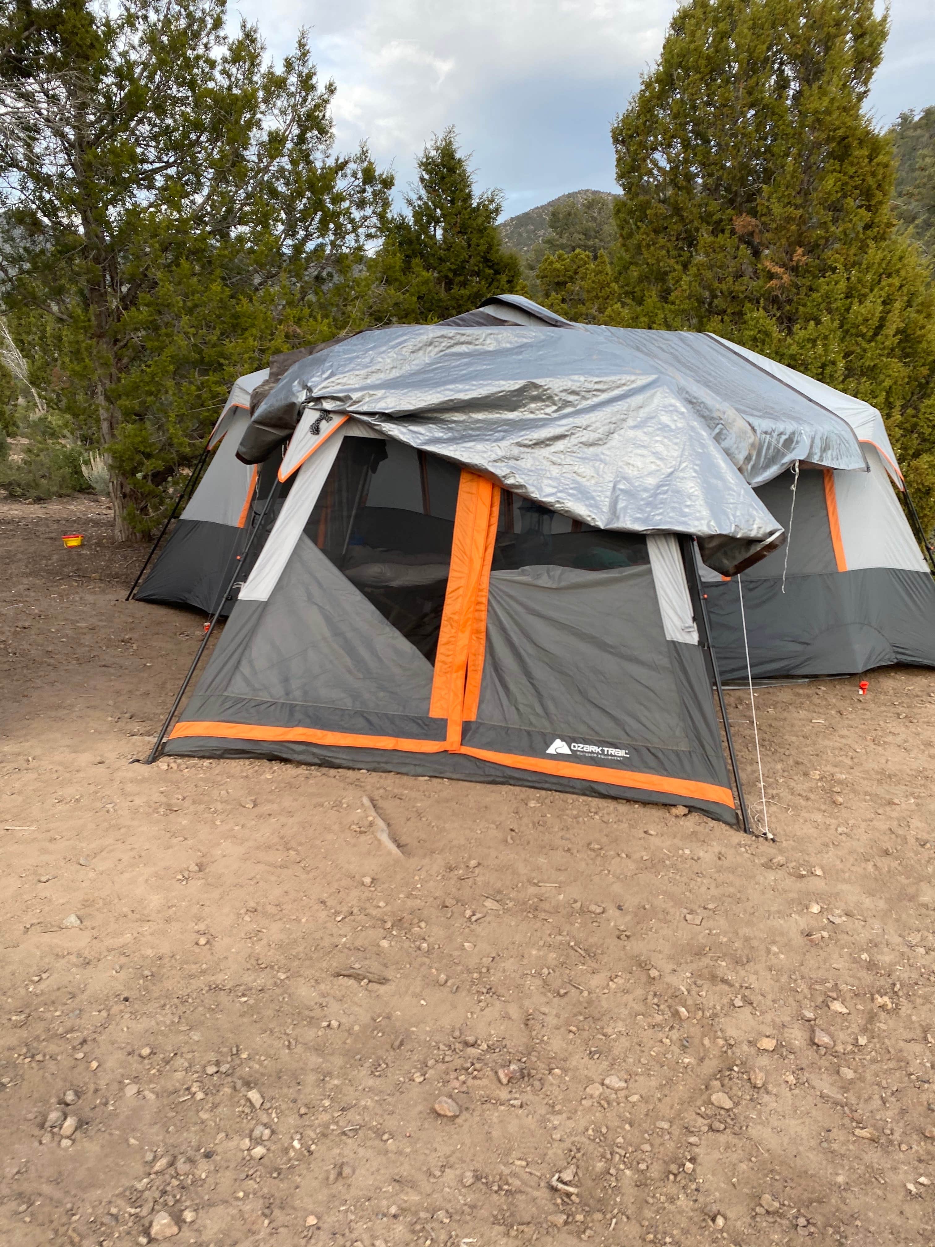 Camper-submitted photo at Lovell Canyon Dispersed Camping (Spring Mountain) in Nevada