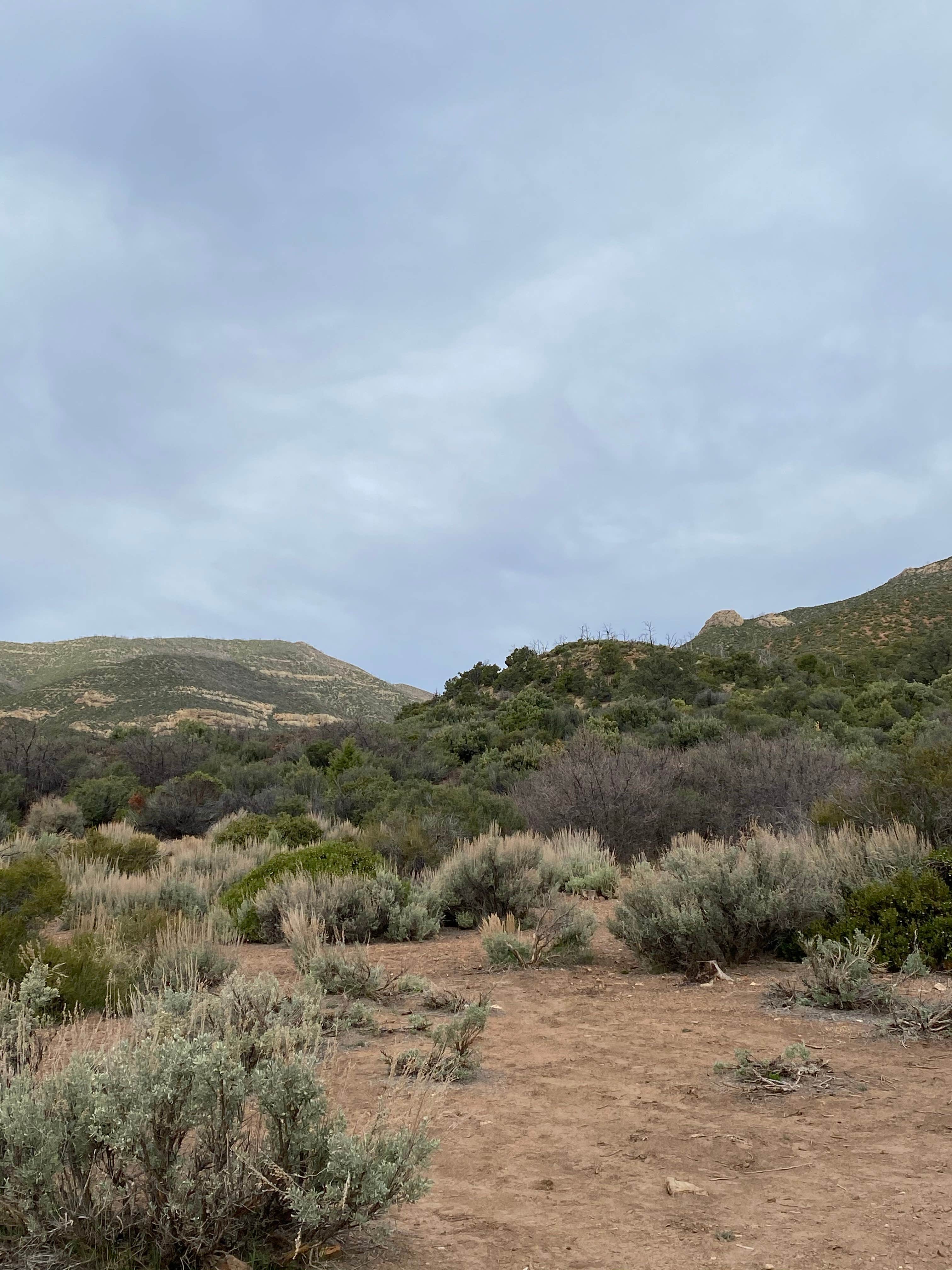 Camper-submitted photo at Lovell Canyon Dispersed Camping (Spring Mountain) in Nevada