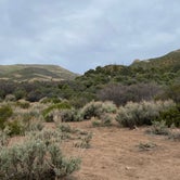 Review photo of Lovell Canyon Dispersed Camping (Spring Mountain) by Brittney  C., September 7, 2020