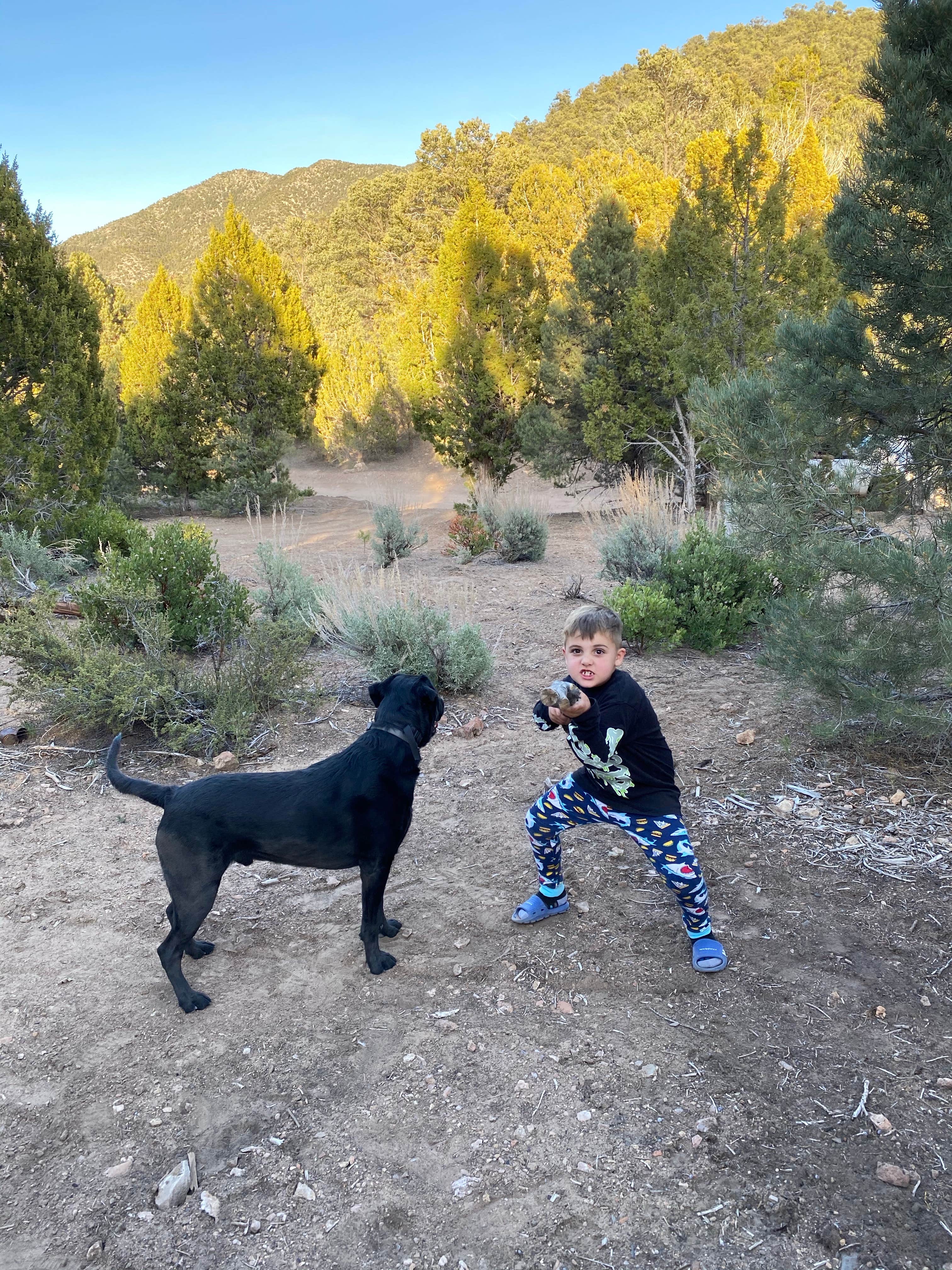 Brittney  C.'s photo of camping with pets at Lovell Canyon Dispersed Camping (Spring Mountain) near Tecopa, CA