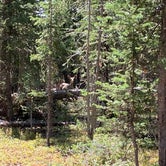 Review photo of Island Lake Campground by Lisa N., September 7, 2020