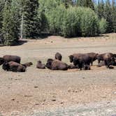 Review photo of Jacob Lake Campground - Kaibab National Forest by Benjamin W., September 7, 2020