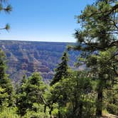 Review photo of Jacob Lake Campground - Kaibab National Forest by Benjamin W., September 7, 2020