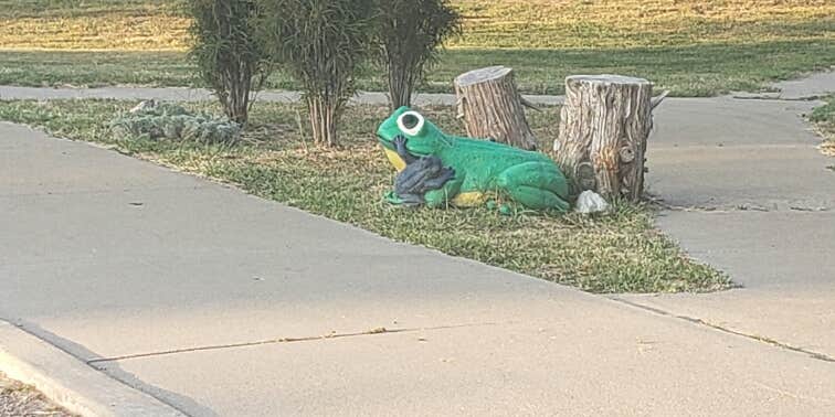 Camper submitted image from Mormon Island State Recreation Area Campground