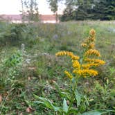 Review photo of Sailor Lake NF Campground by Mary M., September 7, 2020