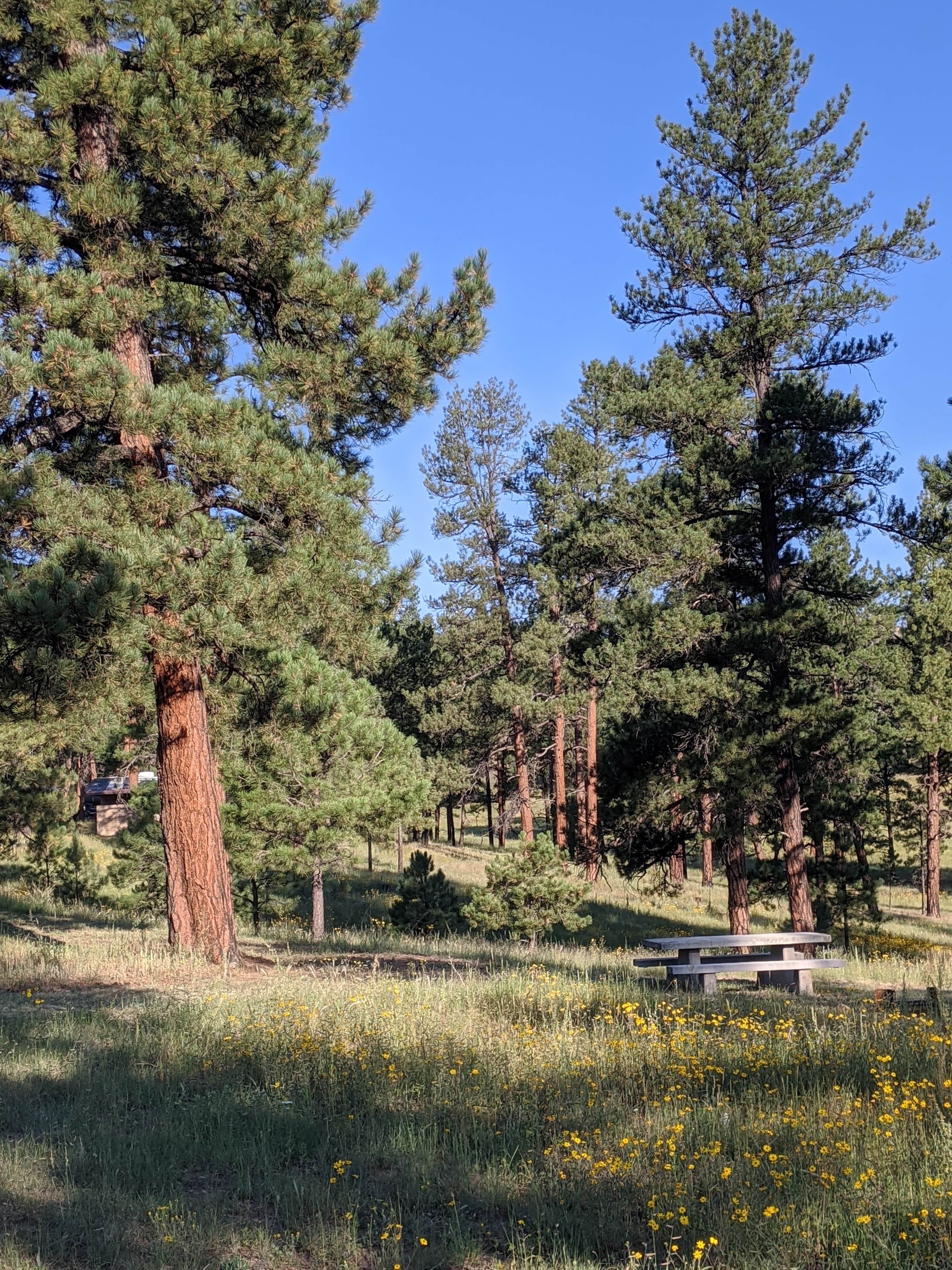 Dipping Vat Campground Glenwood, NM