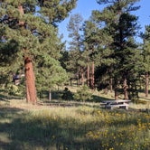 Review photo of Dipping Vat Campground by Brandon H., September 7, 2020