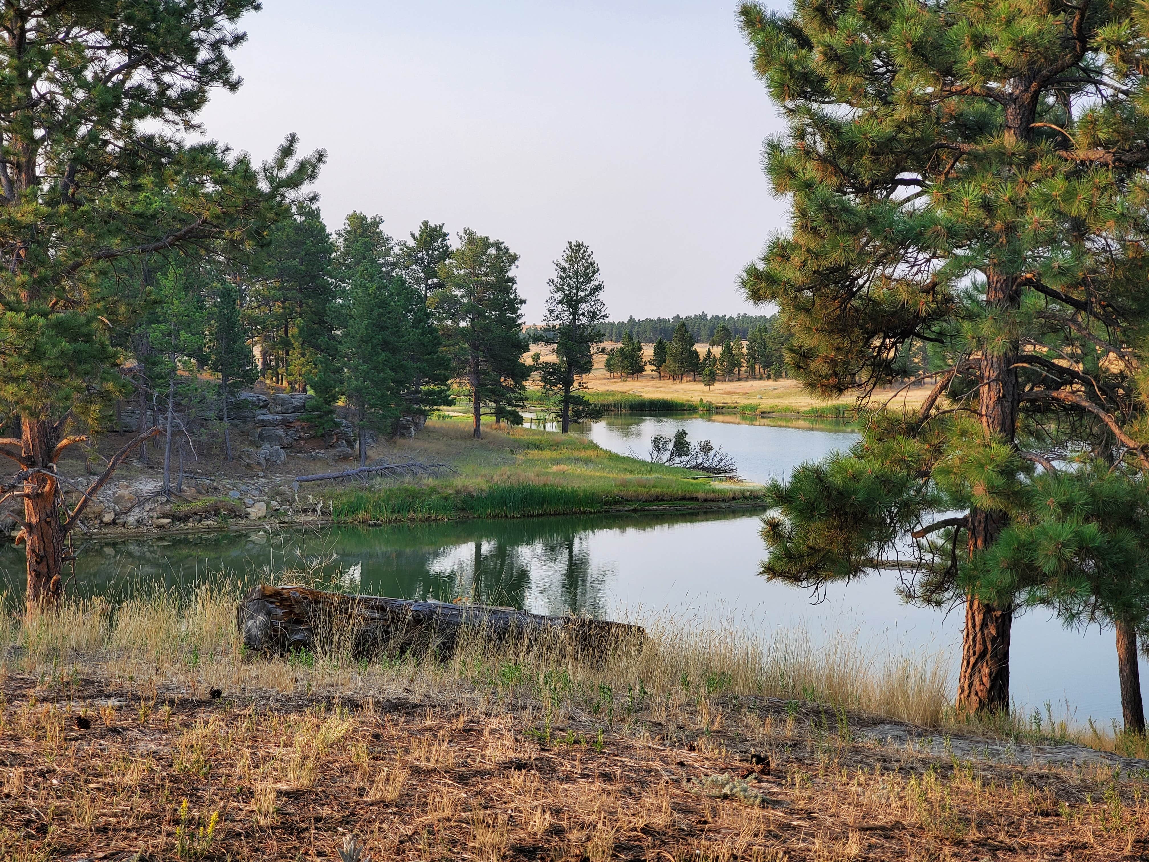 Camping near Belle Fourche Campground at Devils Tower — Devils Tower National Monument: Homestead Campground — Keyhole State Park, Moorcroft, Wyoming