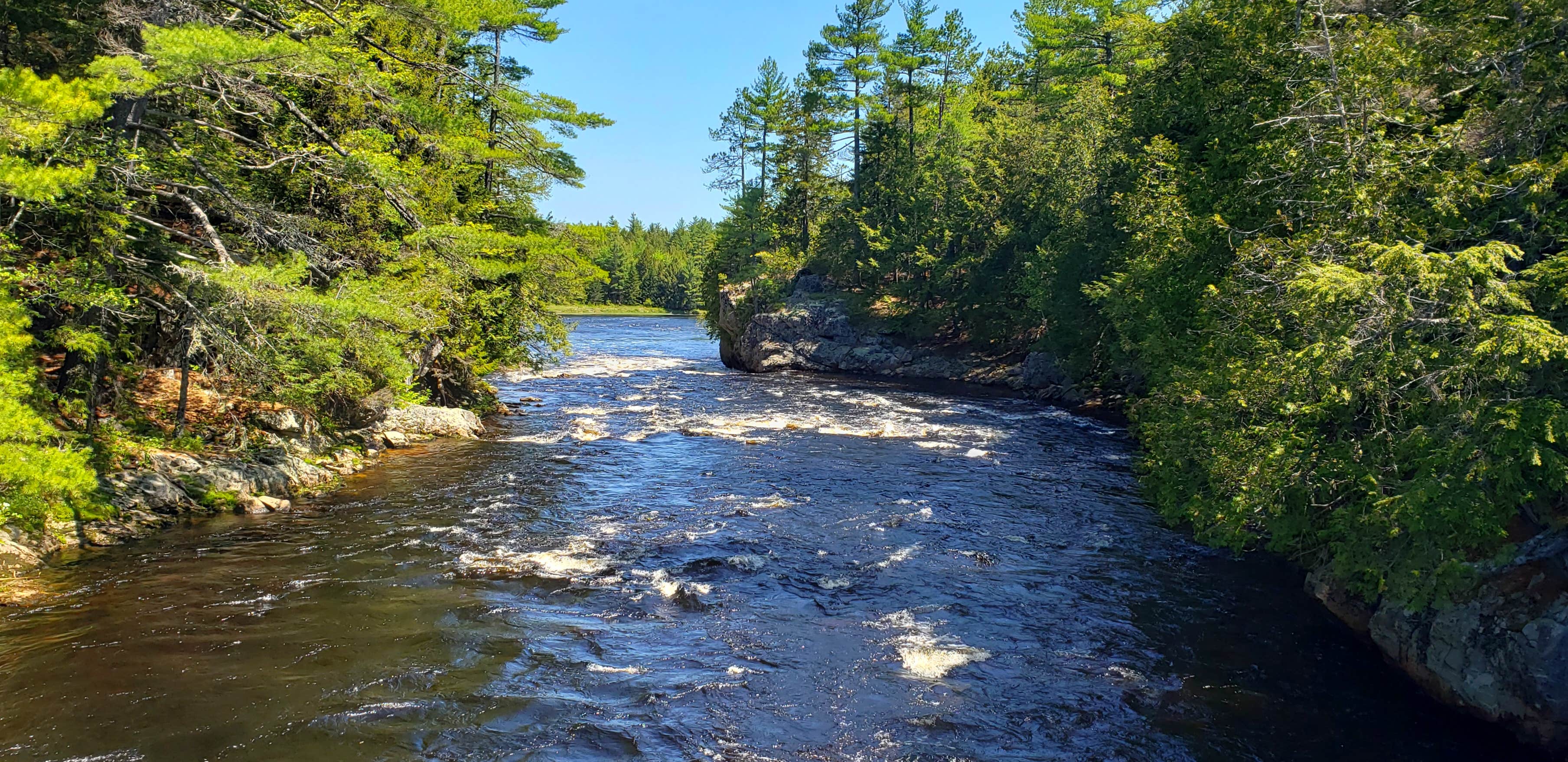 Camper-submitted photo at Cottonwood Camping & RV Park near Salsbury Cove, ME