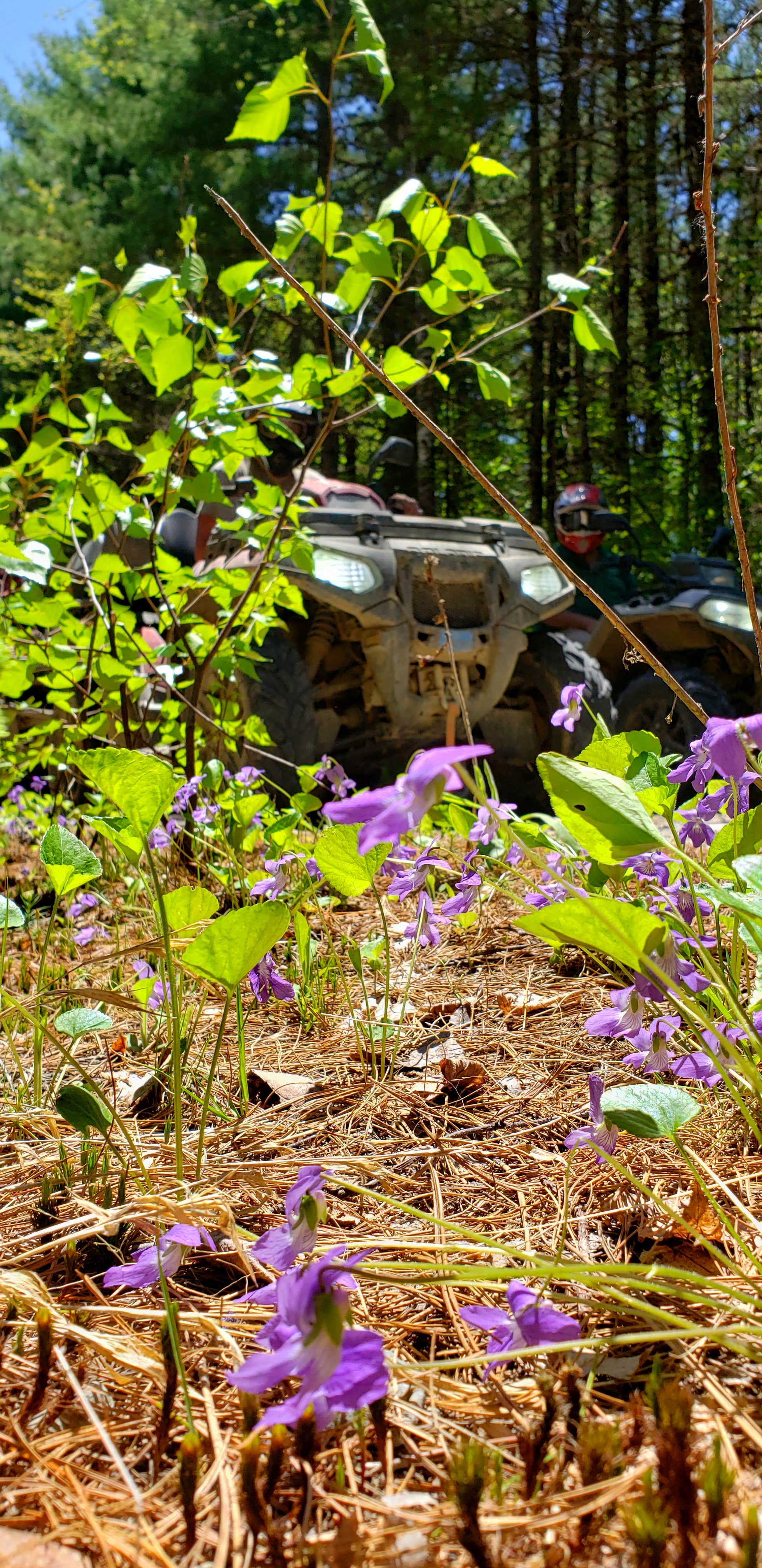 Camper-submitted photo at Cottonwood Camping & RV Park near Salsbury Cove, ME