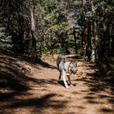 Review photo of Hayden Creek Road by Tommy C., September 8, 2020