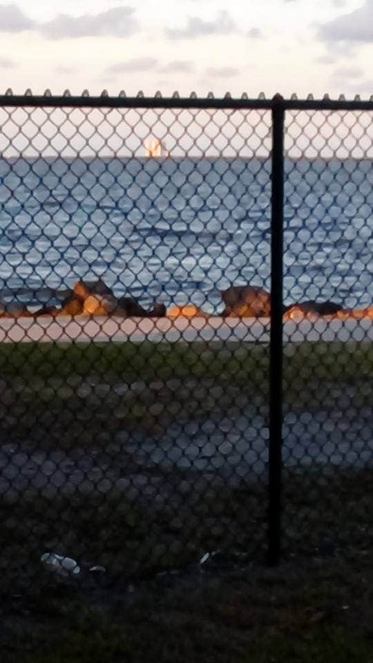 Camper-submitted photo at Manatee Hammock Campground near Titusville, FL