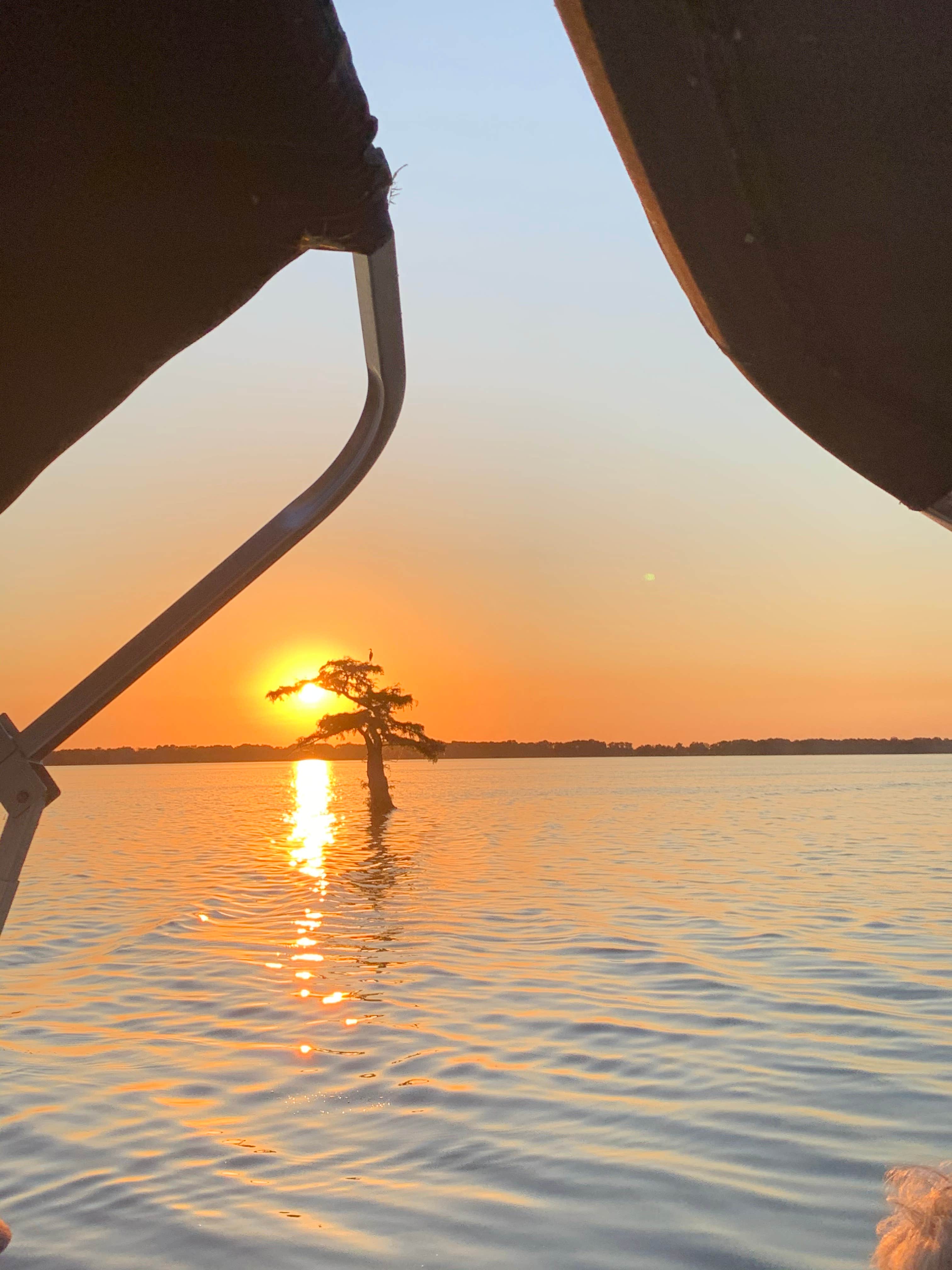 Camper-submitted photo at Reelfoot Lake State Park Campgrounds near Troy, TN