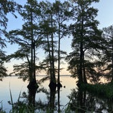 Review photo of Reelfoot Lake State Park Campground by Traci C., September 8, 2020
