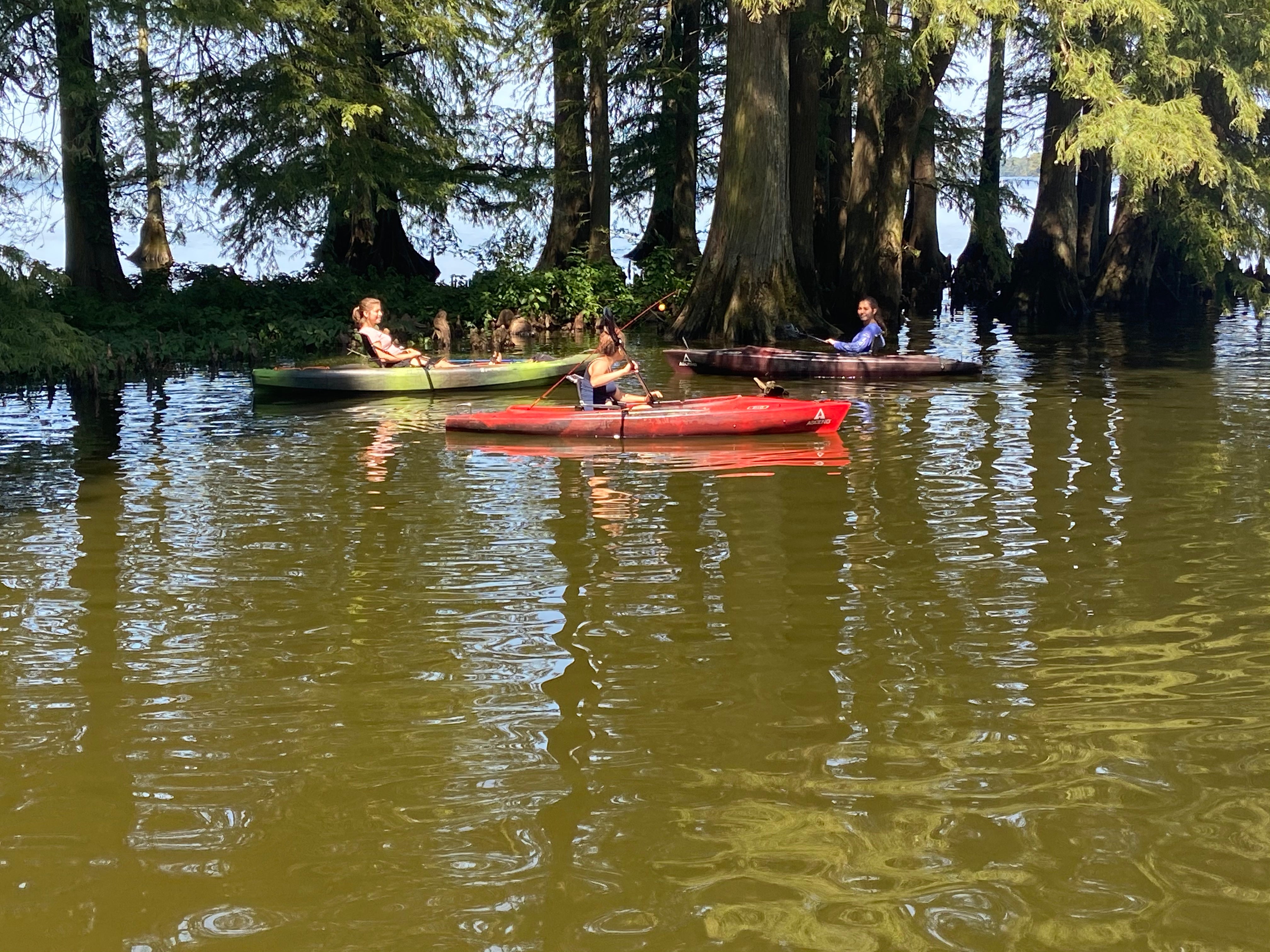 Kayak rental was $8 an hour, teens loved it!