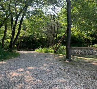 Camper-submitted photo from Beeds Lake State Park — Beed's Lake State Park