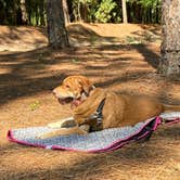 Review photo of Aiken State Park Campground by Jay B., September 7, 2020