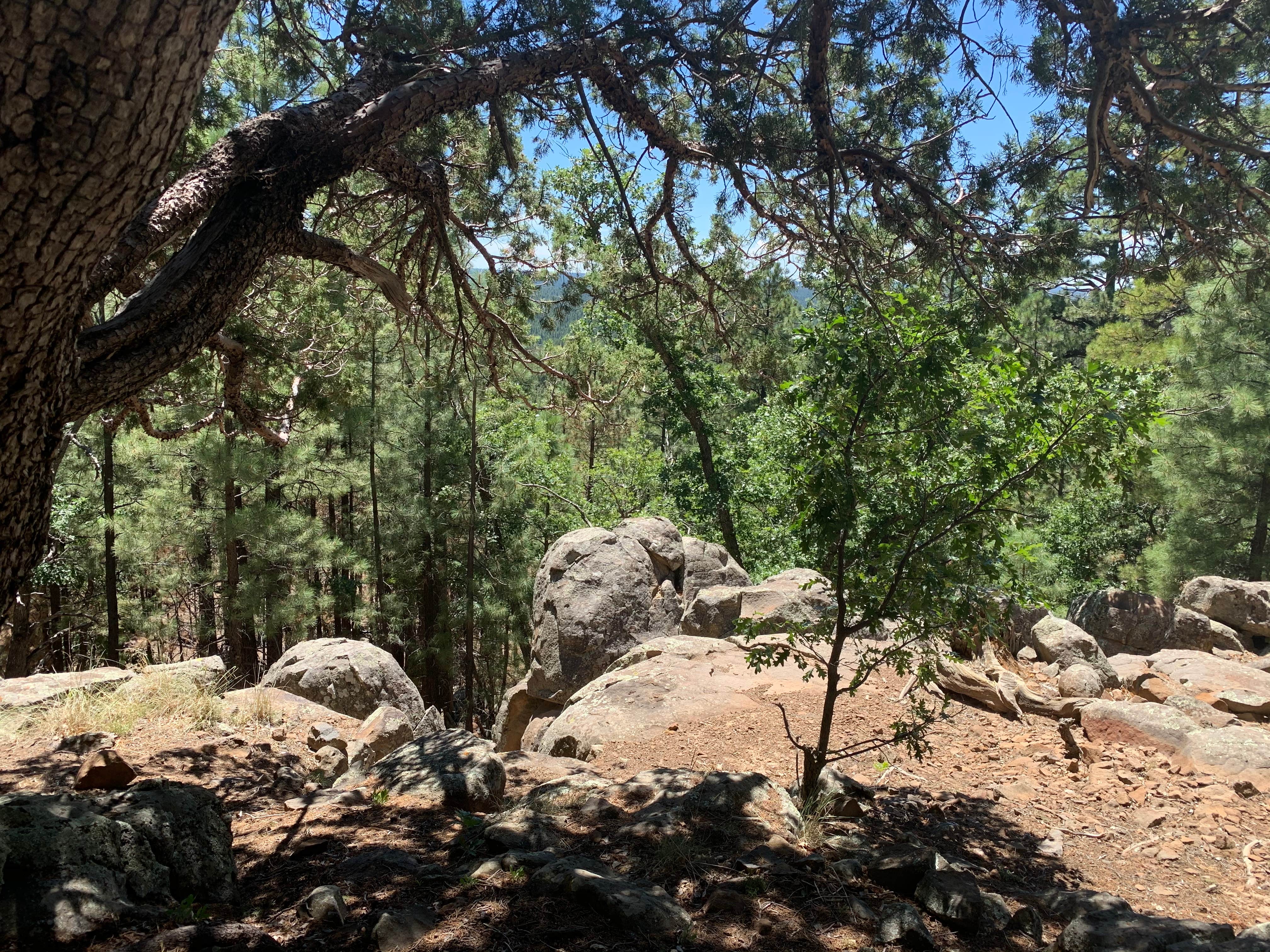 Camper-submitted photo at Rock Crossing Campground near Payson, AZ