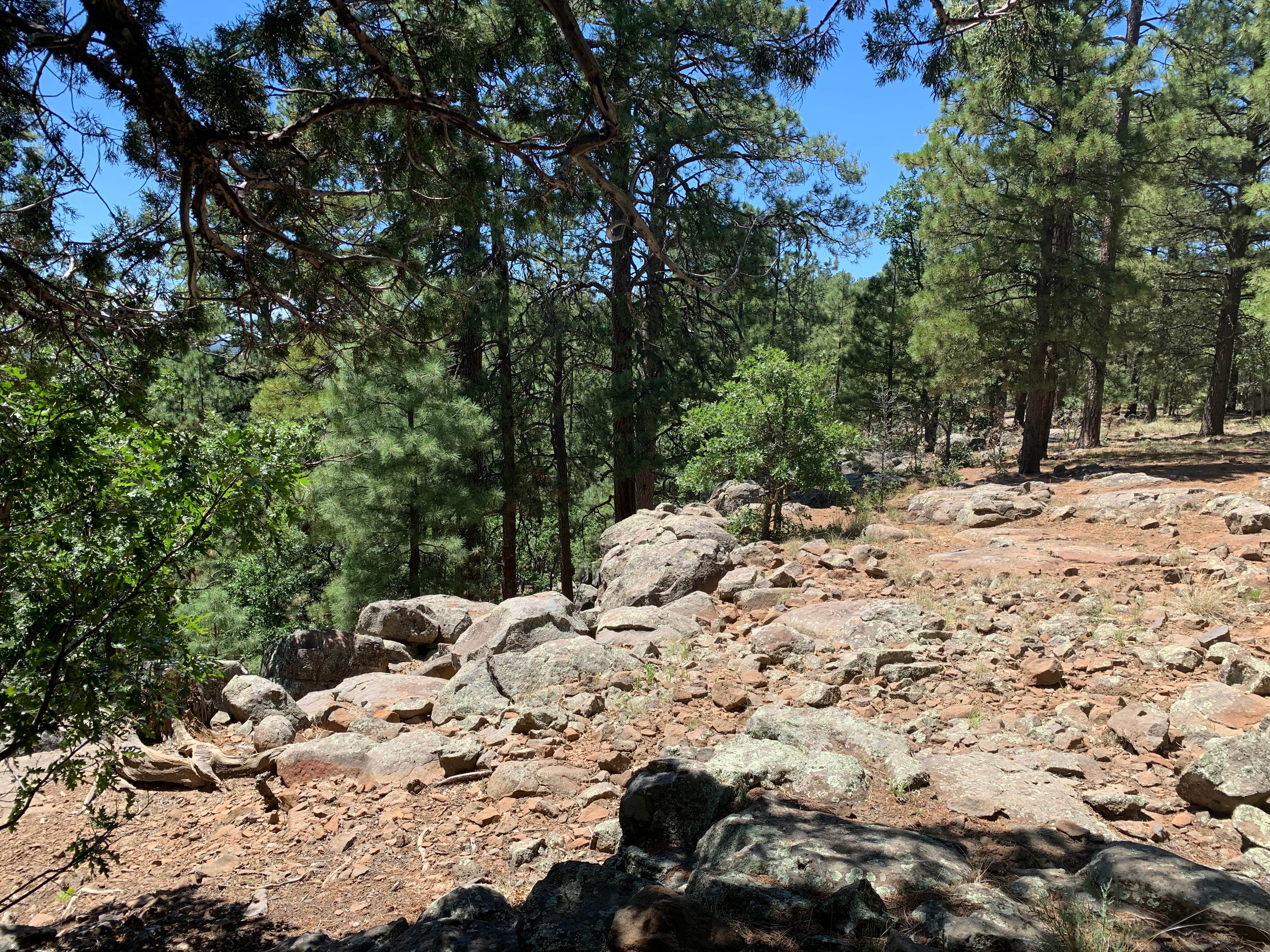 Camper-submitted photo at Rock Crossing Campground near Payson, AZ