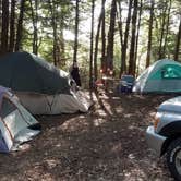 Review photo of Mt. Greylock Campsite Park by Kris Z., September 8, 2020