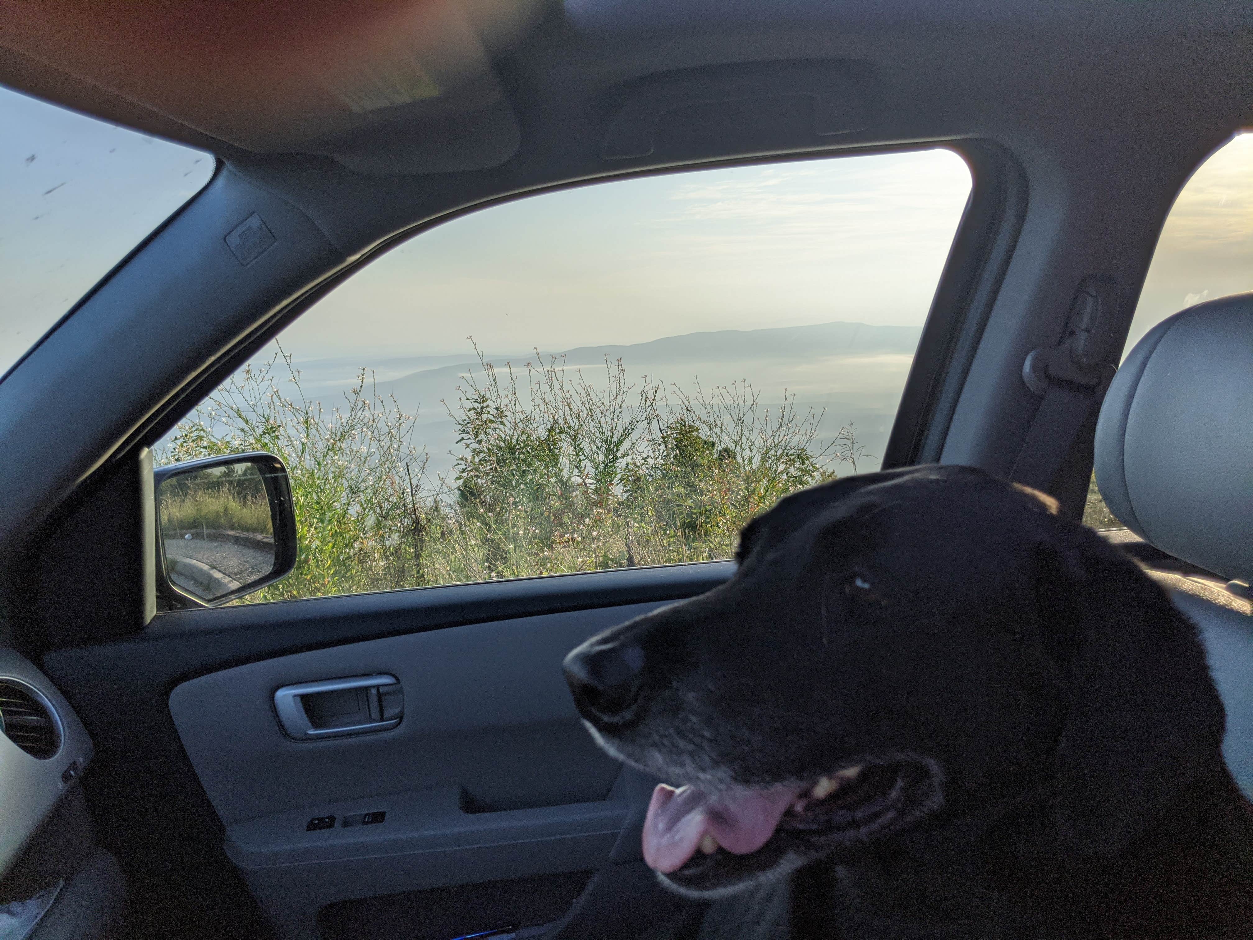 Camper-submitted photo at Dead Man Gap Dispersed Campsite near Eufaula Lake
