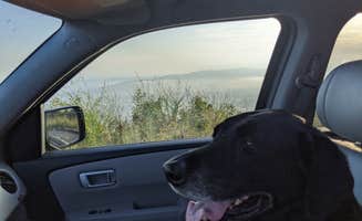Rudy D.'s photo of camping with pets at Dead Man Gap Dispersed Campsite near Eufaula Lake