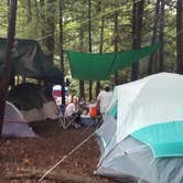 Review photo of Mt. Greylock Campsite Park by Kris Z., September 8, 2020