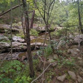 Review photo of Robbers Cave State Park — Robbers Cave State Resort Park by William F., September 8, 2020