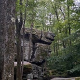 Review photo of Allegany State Park — Allegany State Park State Park by Bobby C., September 8, 2020
